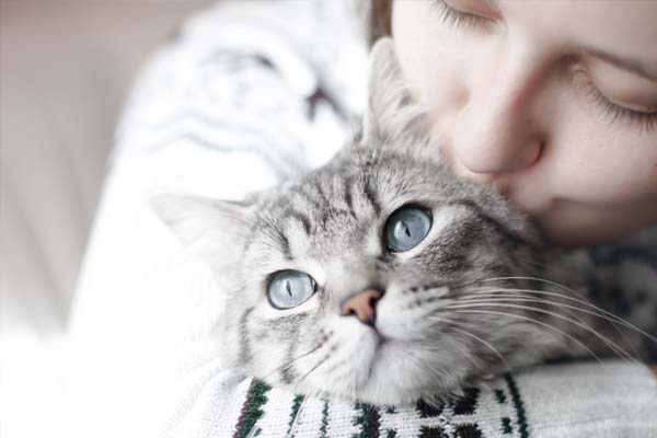 Eine Frau kuschelt mit einer Katze auf ihrem Arm.