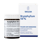 Bryophyllum 50% 50 g
