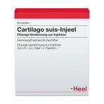 Cartilago suis-Injeel, Verdünnung zur Injektion 100 St