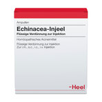 Echinacea-Injeel, Verdünnung zur Injektion 10 St