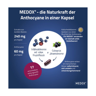Grafik Medox Anthocyane aus wilden Beeren Kapseln Die Naturkraft der Anthocyane in einer Kapsel