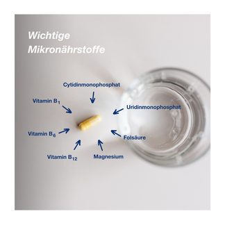 Orthomol neuroprotect Kapseln wichtige Mikronährstoffe der einzelnen Bestandteile