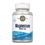 Magnesium 500 mg Tabletten 60 St