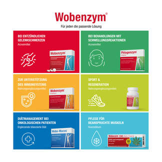 Grafik Wobenzym Produktsortiment