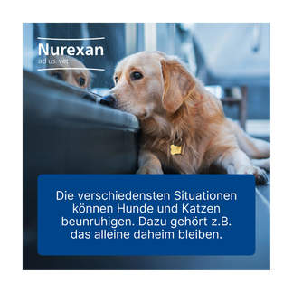 Grafik Nurexan ad us. vet. Tabletten Zur Beruhigung in verschiedensten Situationen. Für Hunde.