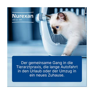 Grafik Nurexan ad us. vet. Tabletten Zur Beruhigung in verschiedensten Situationen. Für Katzen.