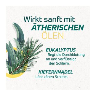 Grafik Eucabal Balsam S wirkt sanft mit ätherischen Ölen