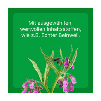 Grafik Zeel ad us. vet. Tabletten Mit ausgewählten, wertvollen Inhaltsstoffen, wie z.B. Echter Beinwell