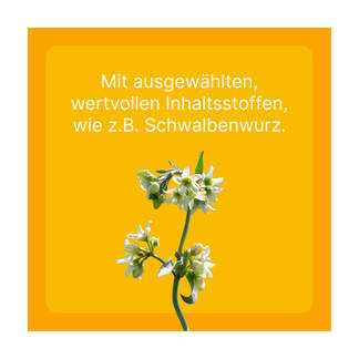 Grafik Engystol T ad us. vet. Tabletten Mit ausgewählten, wertvollen Inhaltsstoffen, wie z.B. Schwalbenwurz