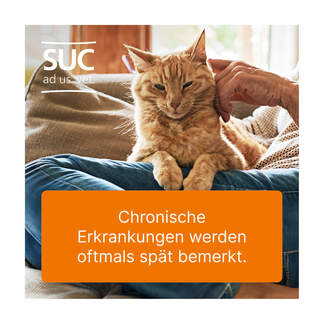 Grafik Ubichinon compositum ad us.vet. Zur Anwendung bei chronischen Erkrankungen von Katzen