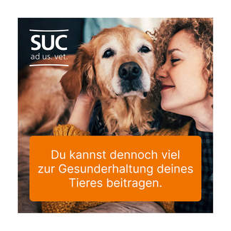 Grafik Ubichinon compositum ad us.vet. Zur Anwendung bei chronischen Erkrankungen von Hunden