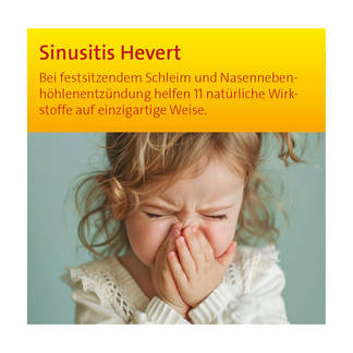 Grafik Sinusitis Hevert Tabletten Bei festsitzendem Schleim und Nasennebenhöhlenentzündung helfen 11 natürliche Wirkstoffe auf einzigartige Weise