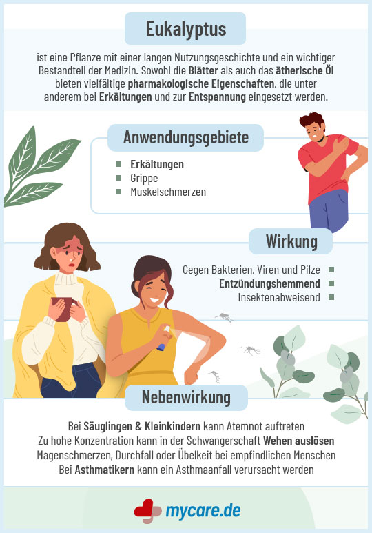 Infografik Eukalyptus: Anwendungsgebiete, Wirkung & Nebenwirkungen