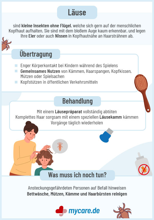 Infografik Läuse: Übertragung, Behandlung und was muss ich noch tun?