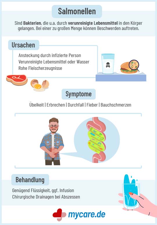 Infografik Salmonellen: Ursachen, Symptome & Behandlung