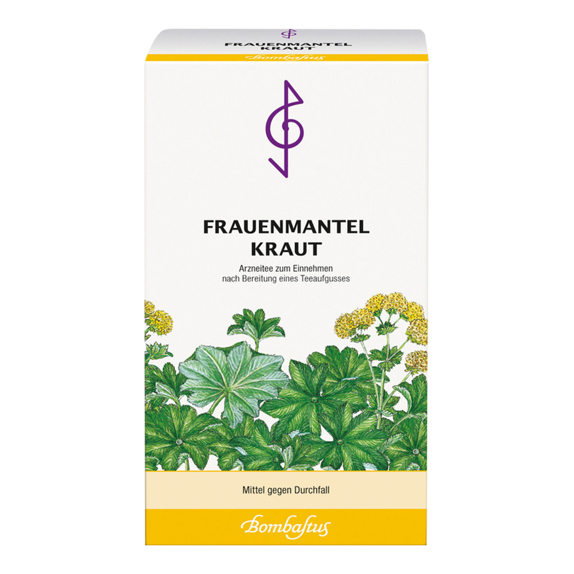 Frauenmantelkraut Tee