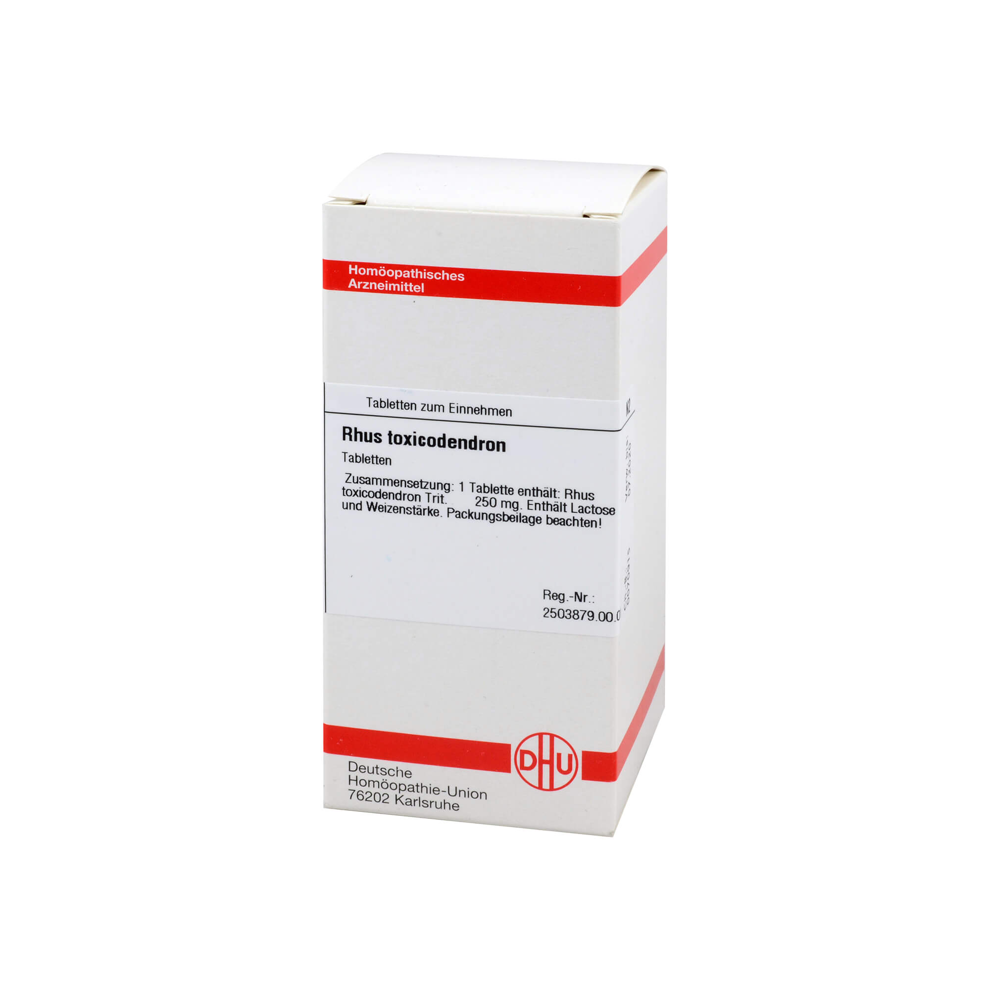 Rhus Toxicodendron D 4 Tabletten - None