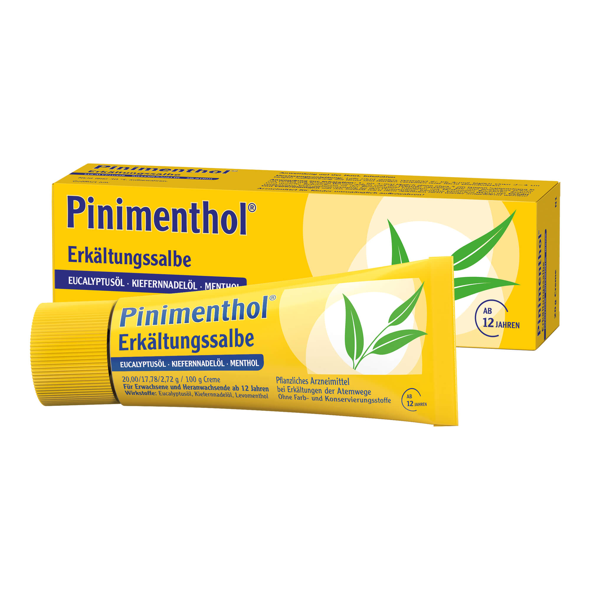 Pinimenthol Erkältungssalbe - None