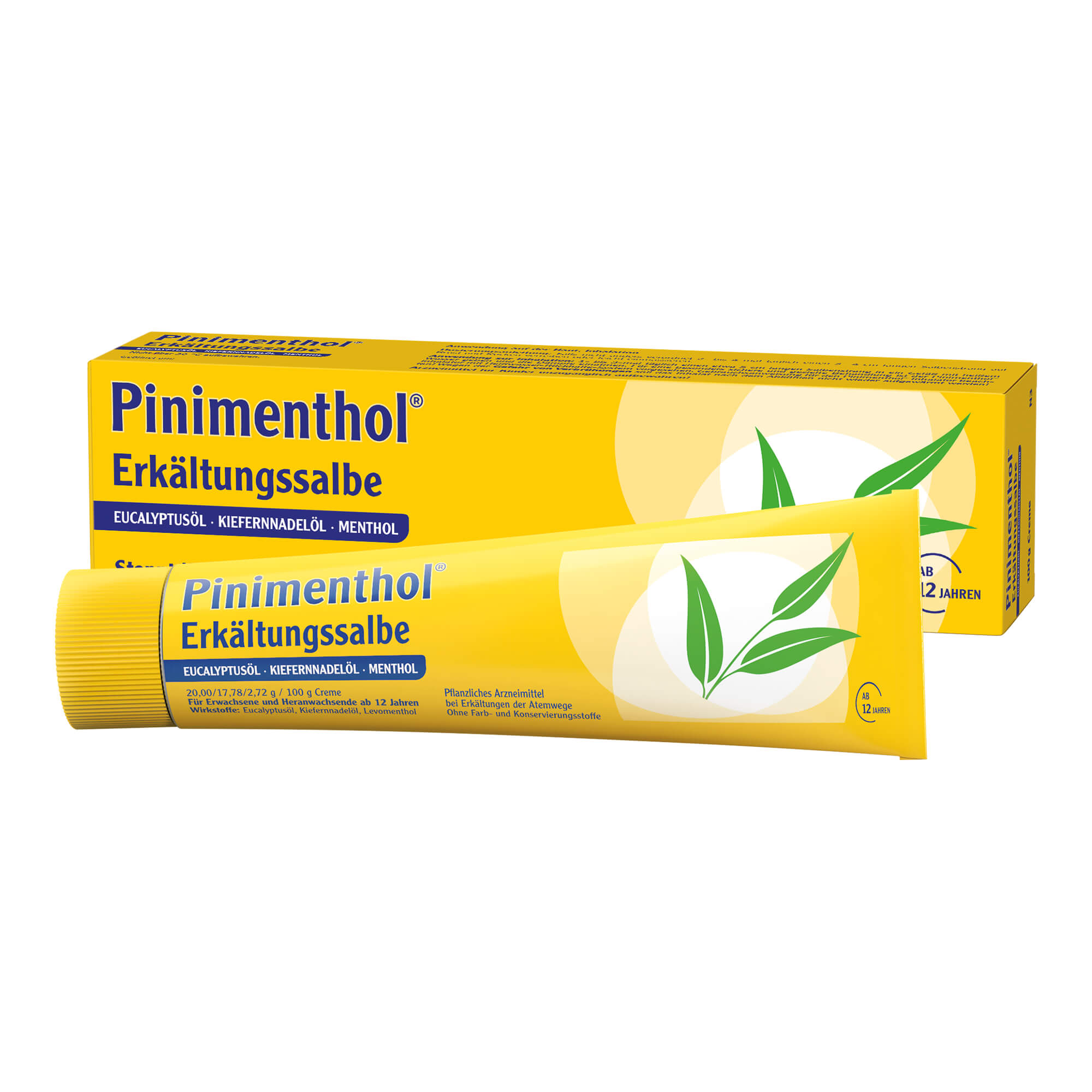 Pinimenthol Erkältungssalbe - None