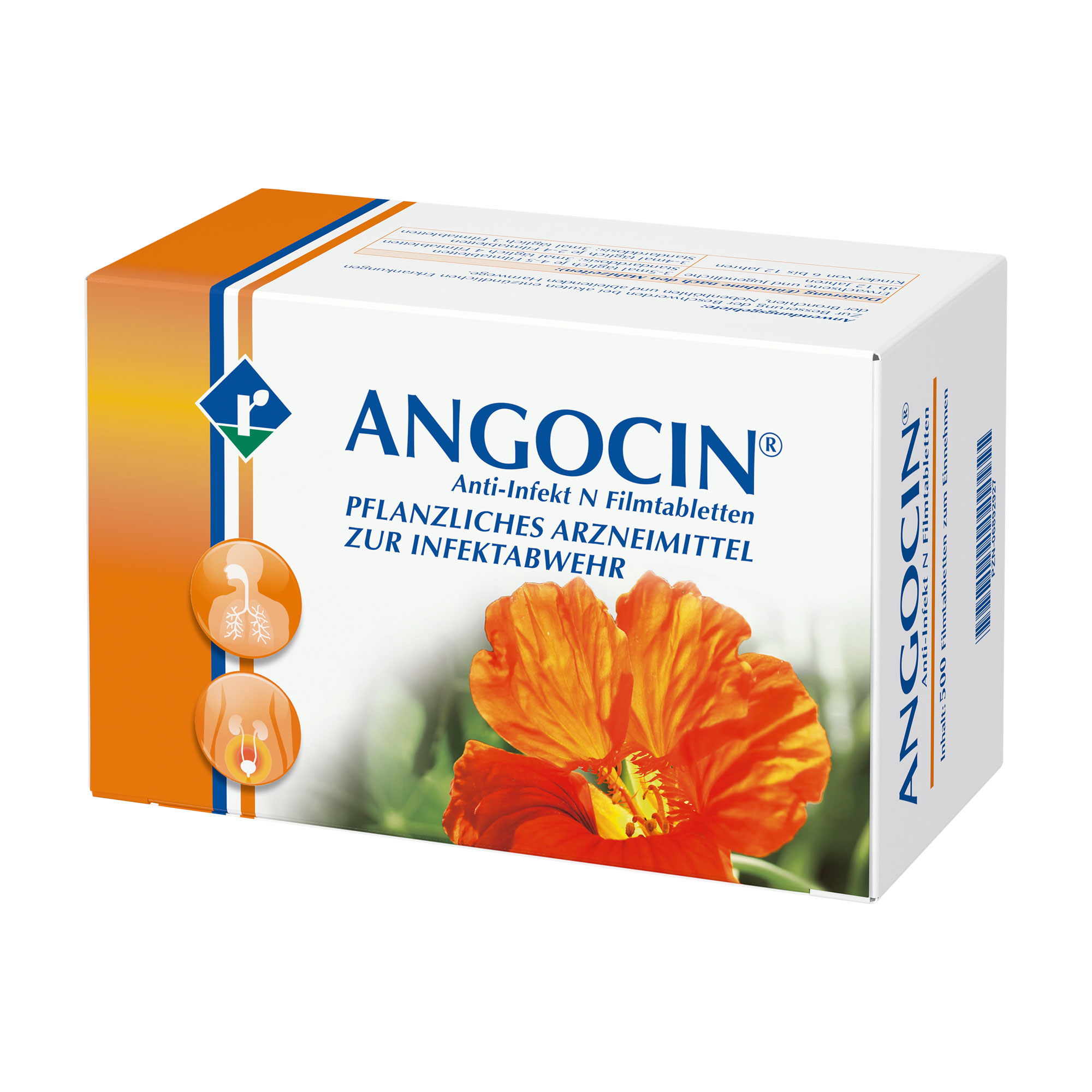 Angocin Anti-Infekt N Filmtabletten - None