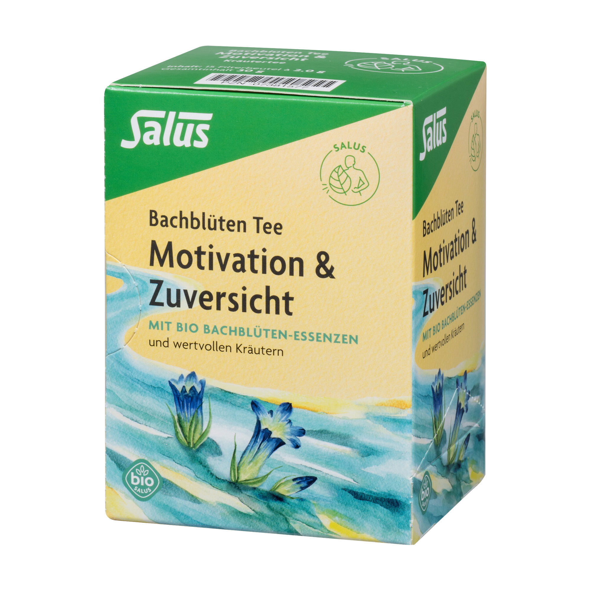 Salus Bachblüten Tee Motivation & Zuversicht - None