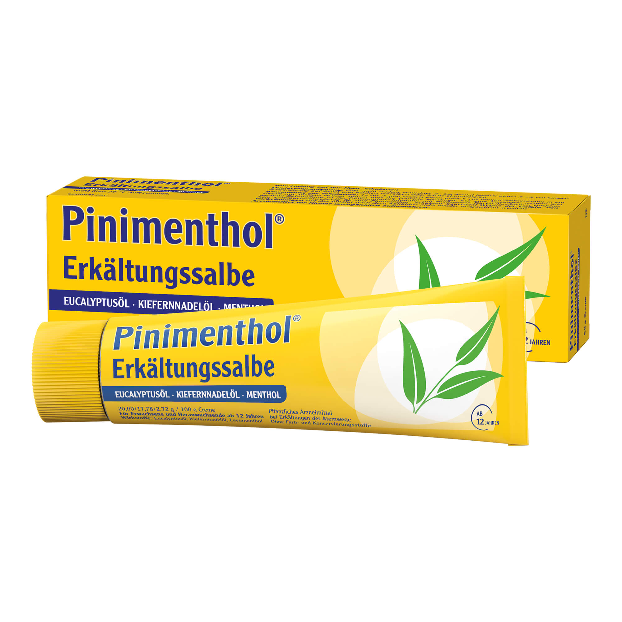 Pinimenthol Erkältungssalbe - None