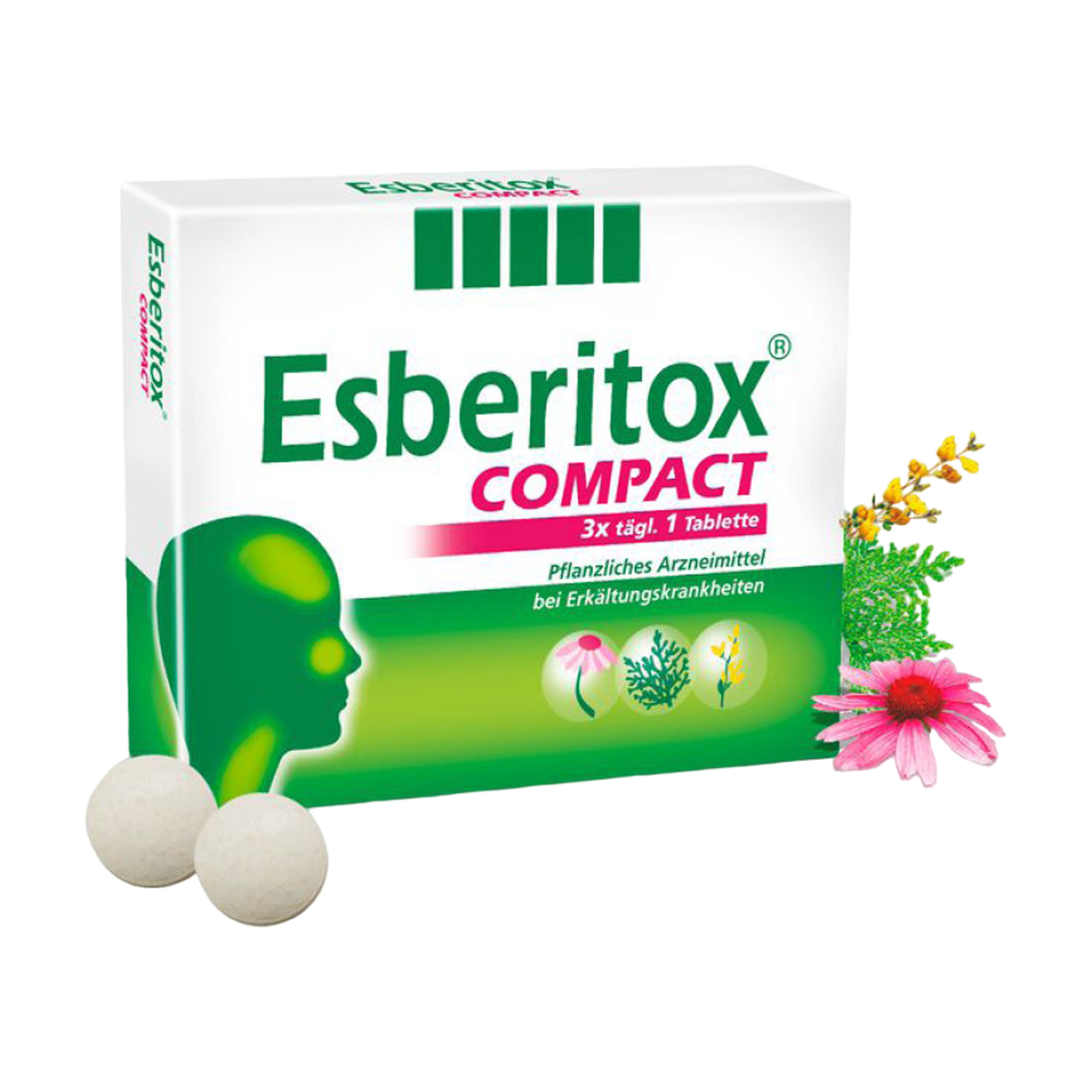 Esberitox Compact Tabletten - None