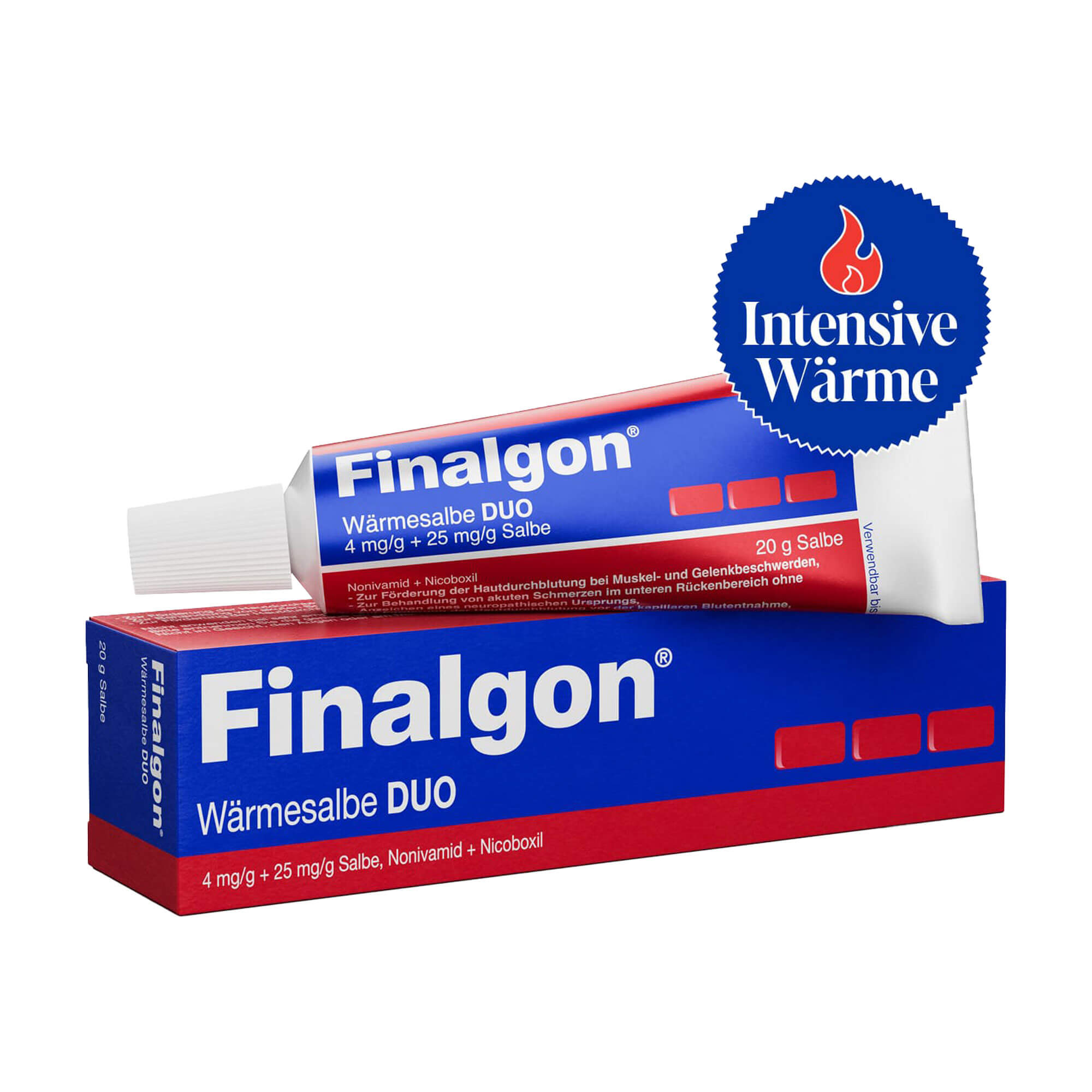 Finalgon Wärmesalbe Duo 4 Mg/G + 25 Mg/G - None