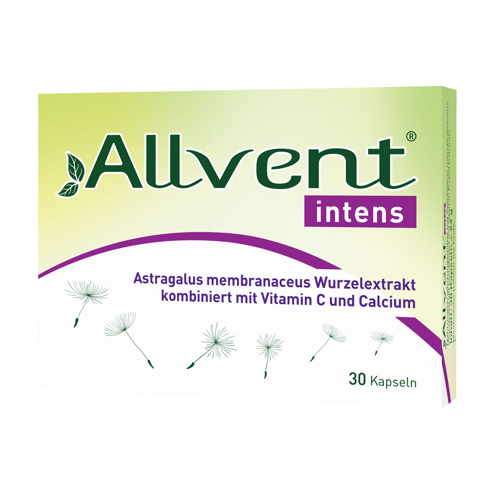 Allvent Intens Kapseln - None