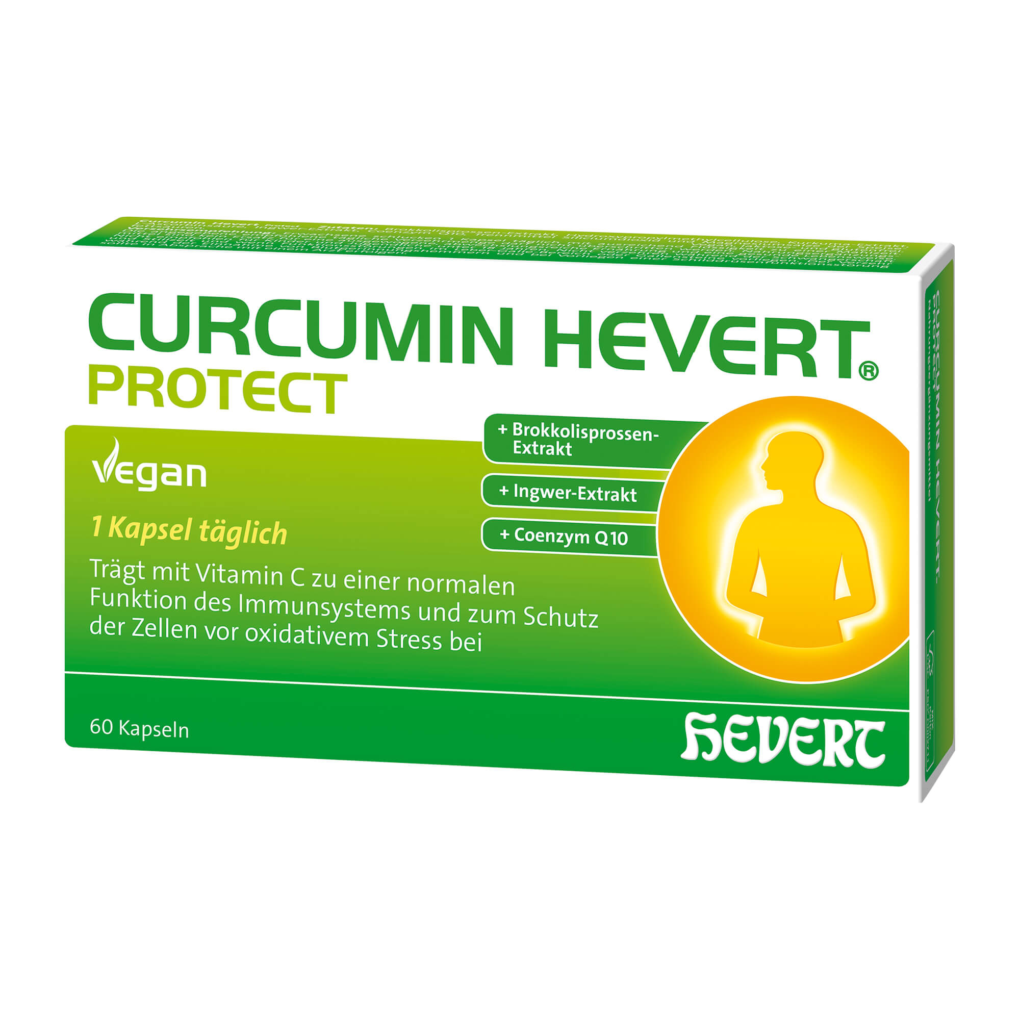 Curcumin Hevert Protect Kapseln