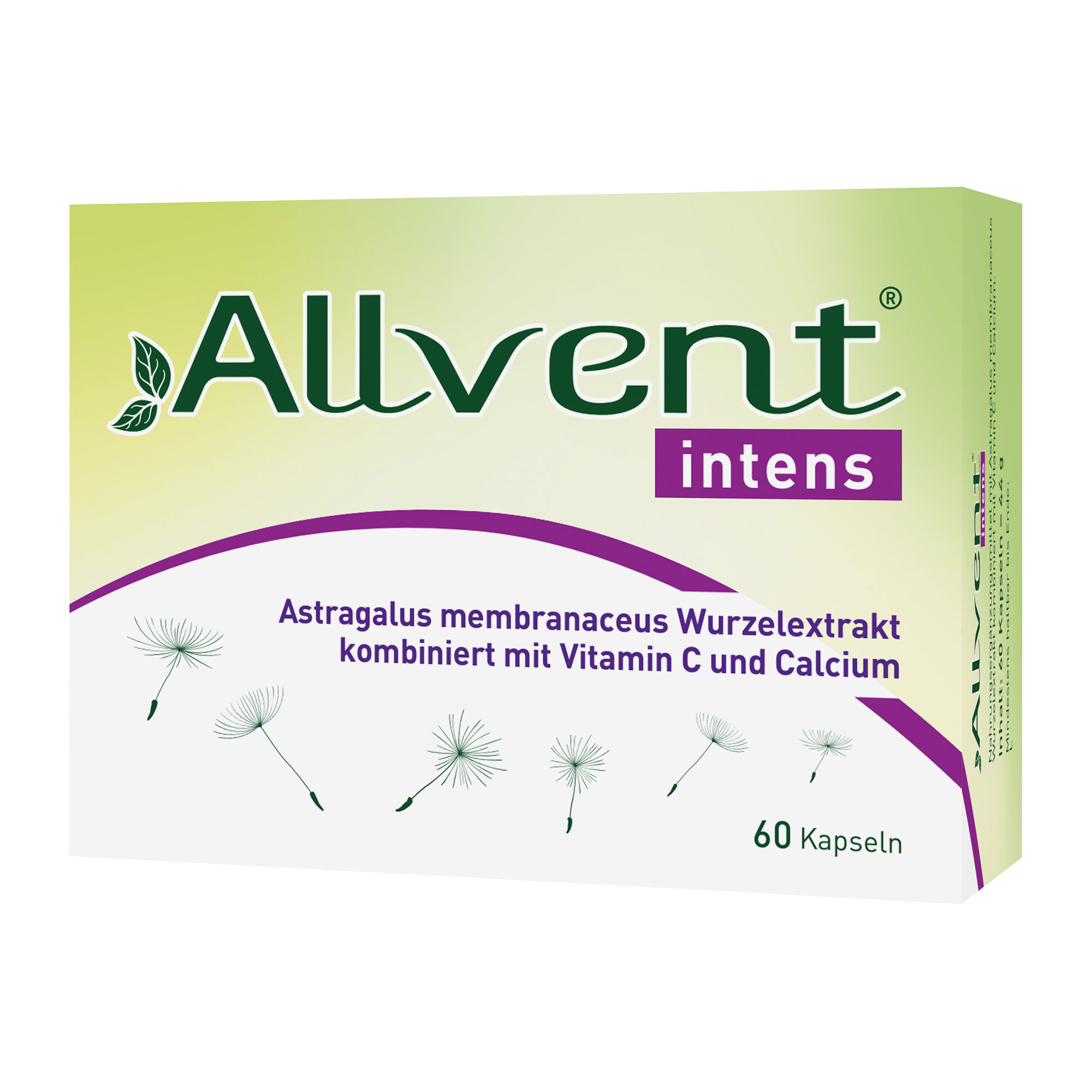 Allvent Intens Kapseln - None